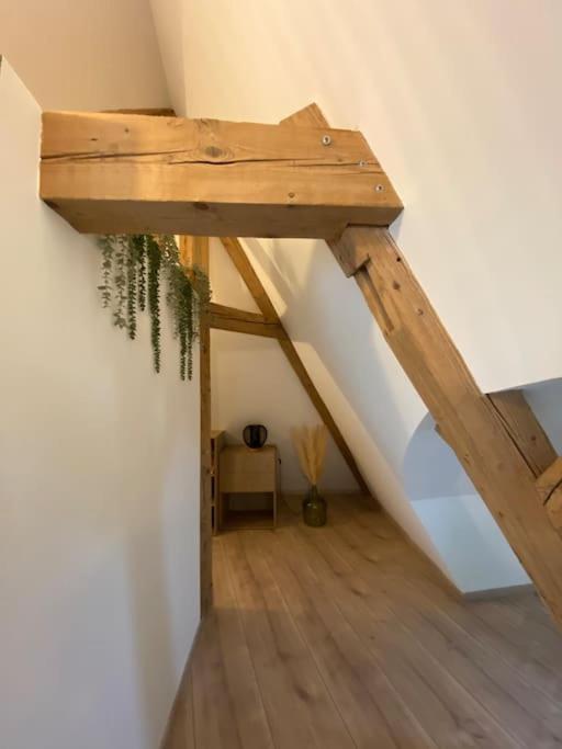 Ferienwohnung Les Toits D'Austerlitz Straßburg Exterior foto